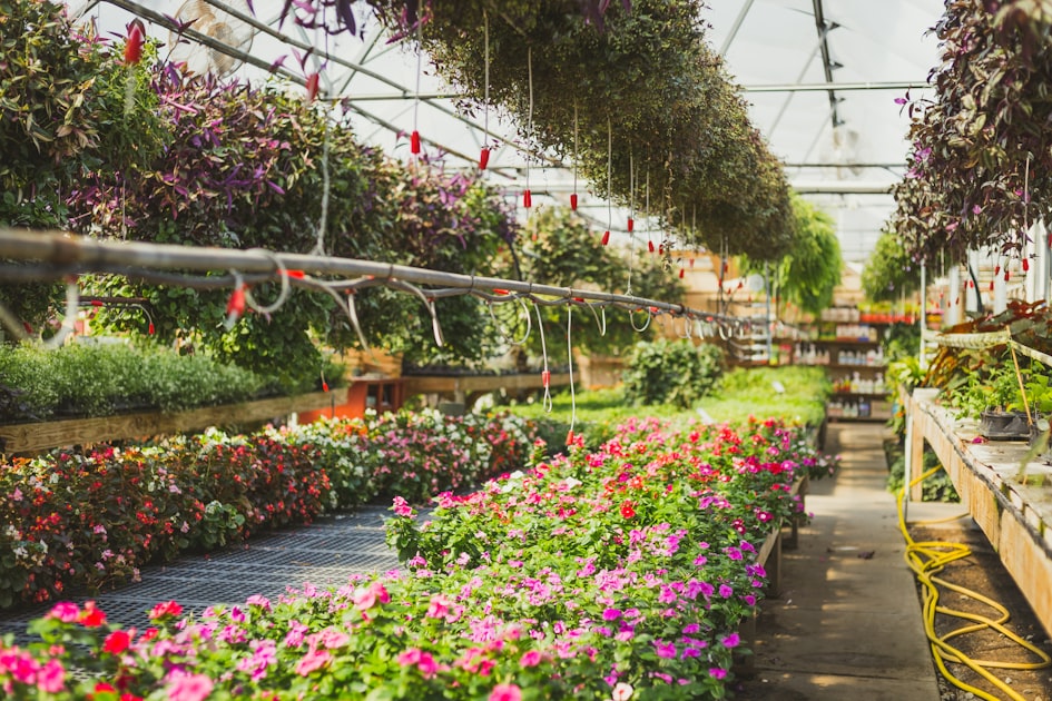 Teacher Training for Garden Management