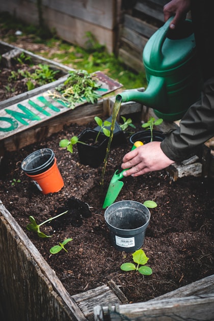 Sustainable Practices in School Gardens