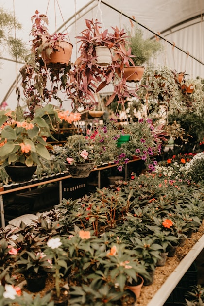 Digital Learning in Garden Education