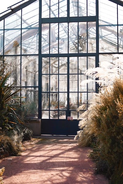 Case Studies of Successful School Gardens