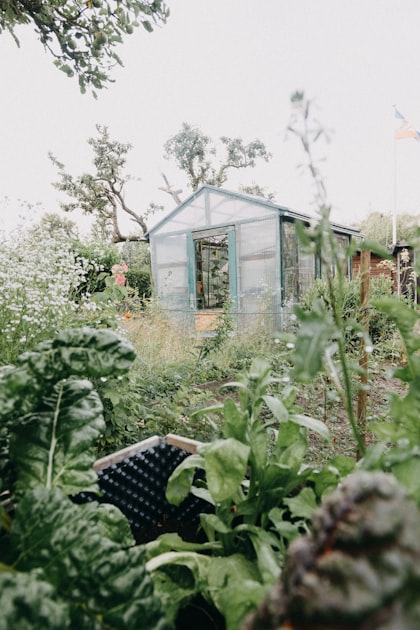 Innovative School Garden Designs